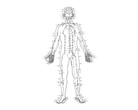 Accents Of The Human Body Electromagnetic Balance Regulation System - Bioptron Doctor's Corner photo